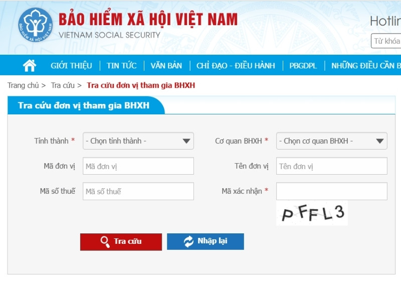 Nhập thông tin tra cứu của doanh nghiệp